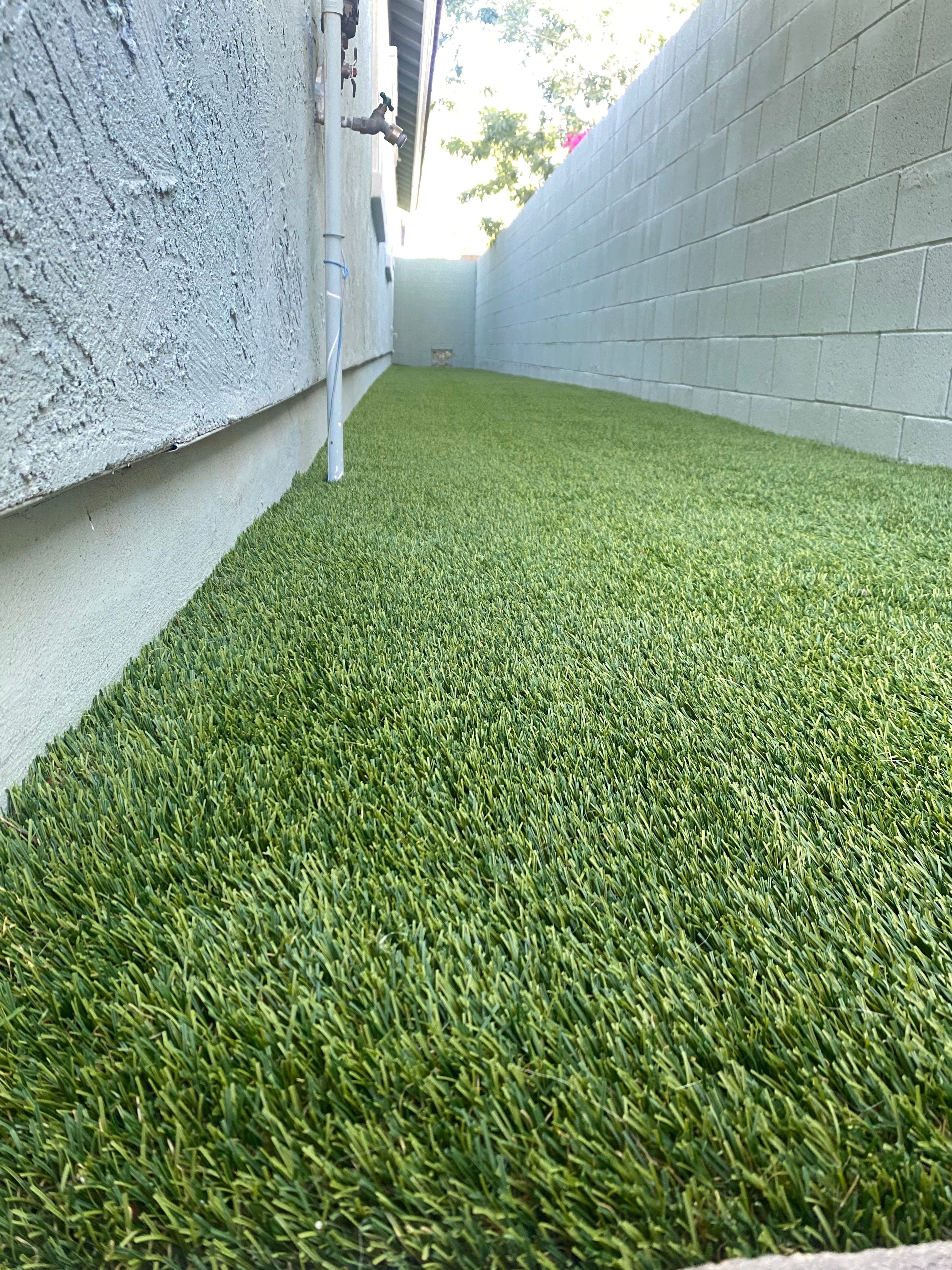 Side yard artificial turf after professional cleaning by Zeo Turf Cleaning