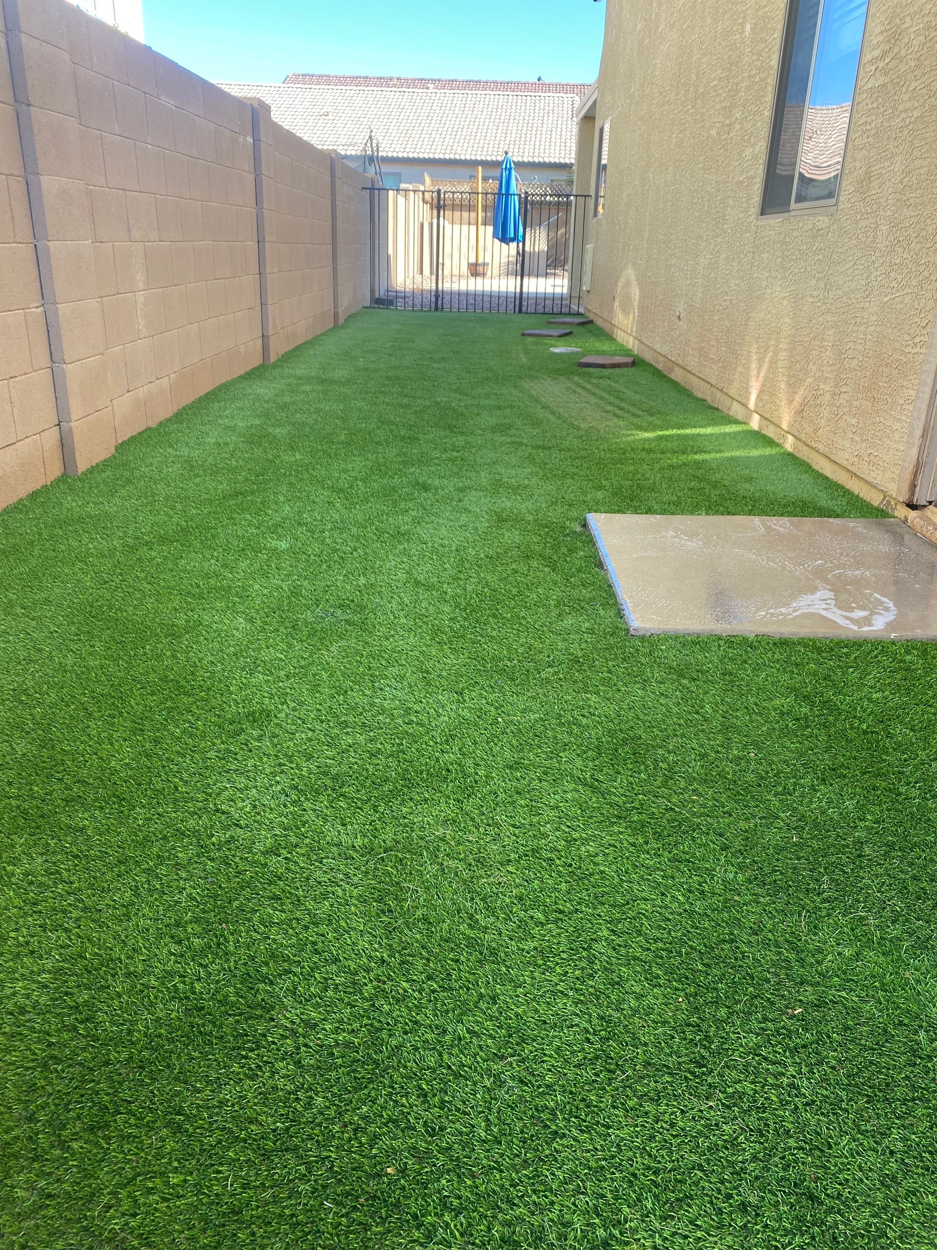 Dog run artificial turf after professional cleaning by Zeo Turf Cleaning