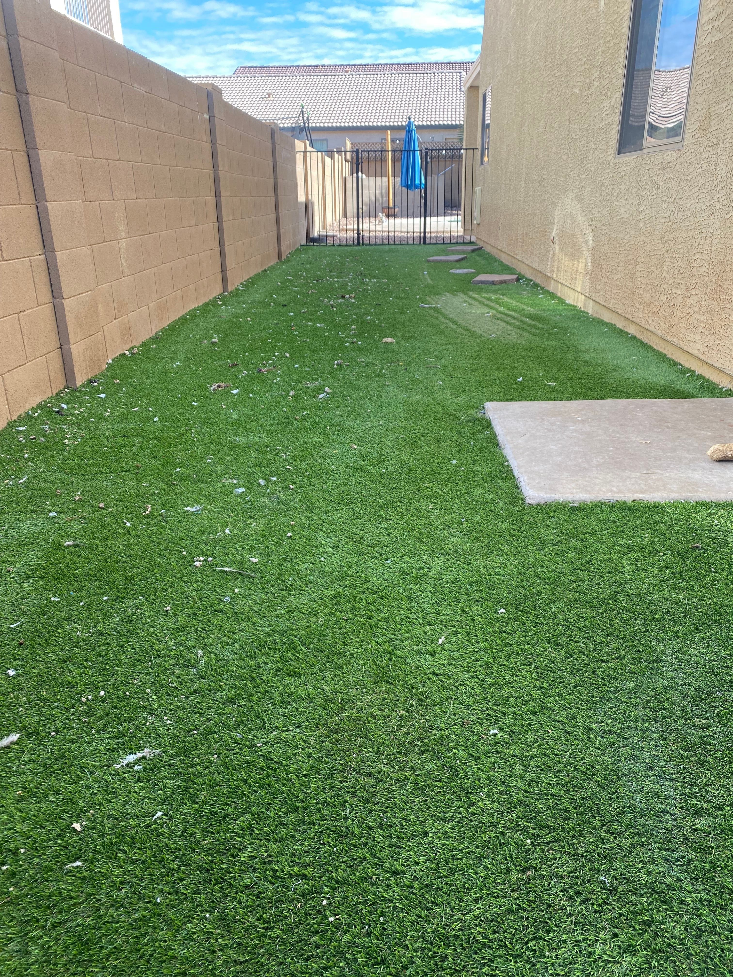 Dog run artificial turf before professional cleaning by Zeo Turf Cleaning